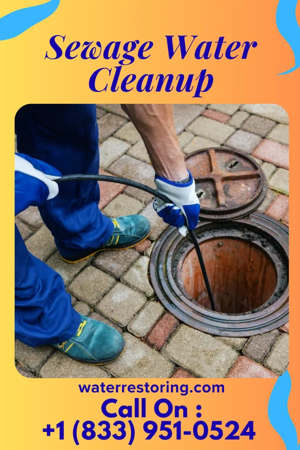 Sewage Water Cleanup in Mohawk Vista, CA